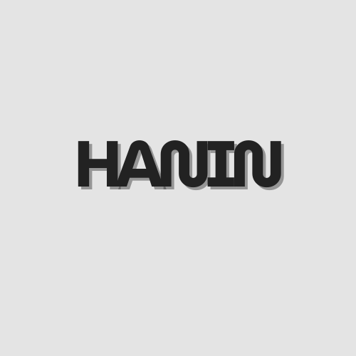 anggiahanin.com